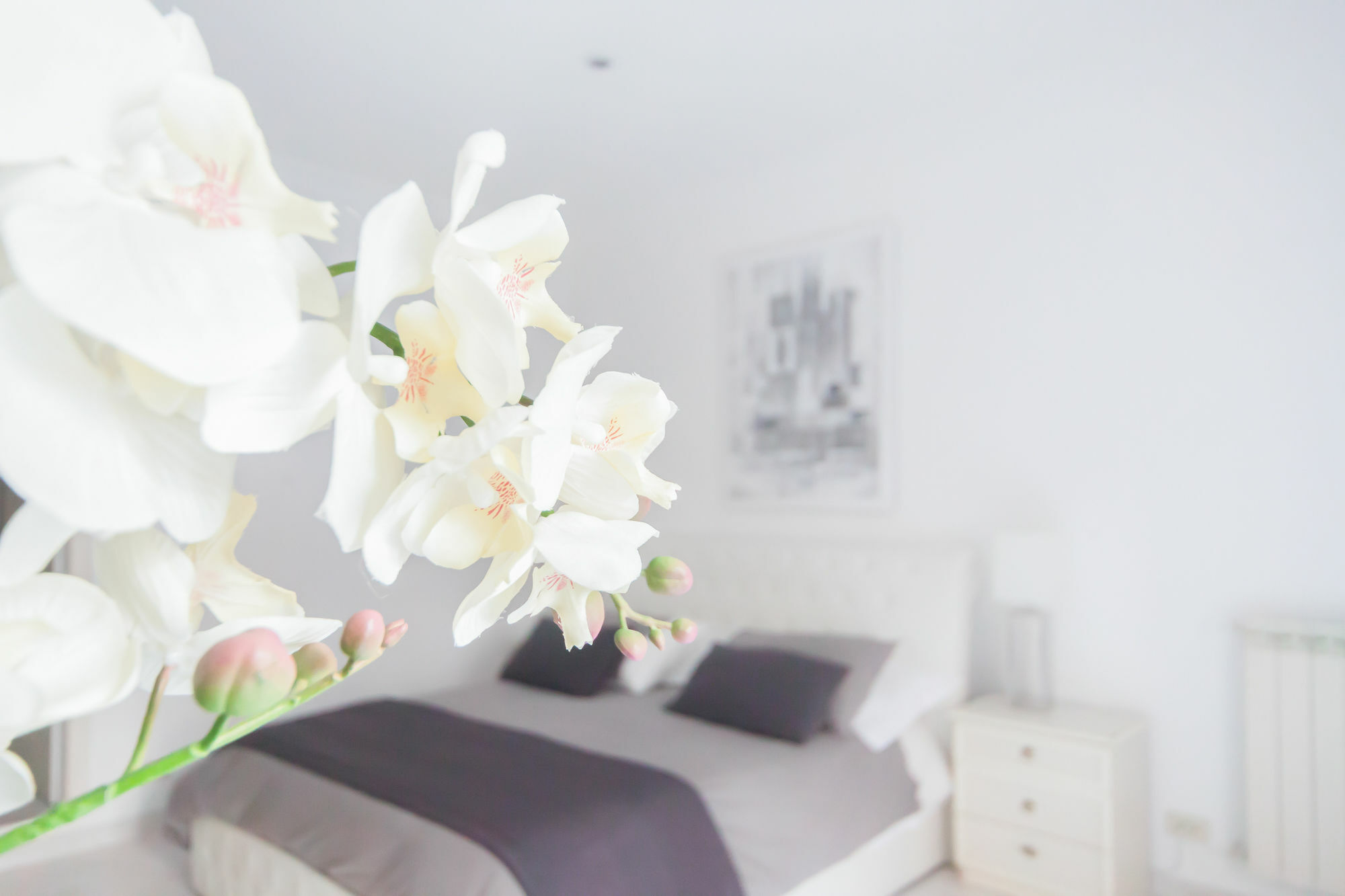 Veneto Exclusive Appartement Rome
